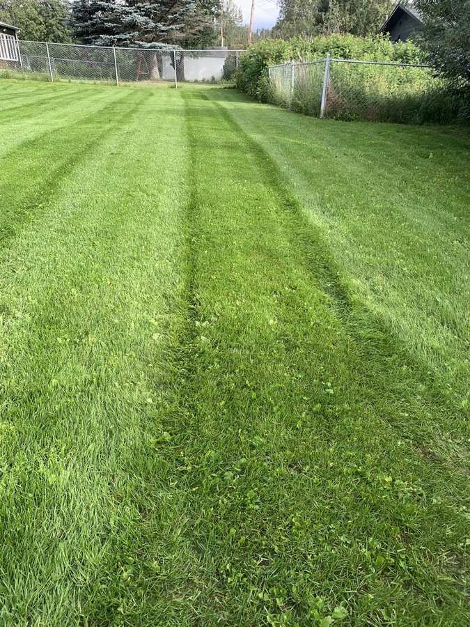 Lawn mowed in clean, even stripes